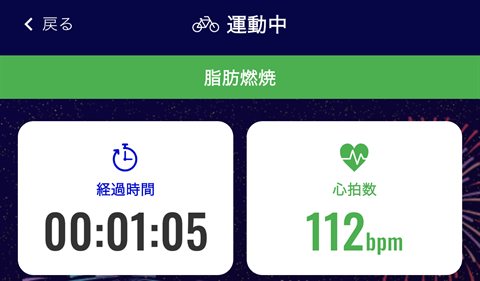 心拍数112bpm。数字は緑、画面上部に「脂肪燃焼」と表示